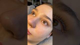 Wimpernlifting Mit Liebe zum Detail Kosmetiksalon Berlin 🤩 shortsvideo skincare lashlifting [upl. by Anyd84]