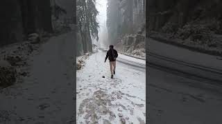 shima live sanofoll narkanda Shimla Himachal Pradesh Shimla trip 2023 [upl. by Ttocserp609]