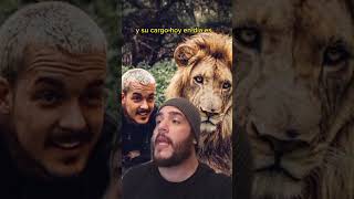 LEÓN DESCUIDO Parte 1 animals biologia leones leon mapogo shorts viralvideo curiosidades [upl. by Lellih]