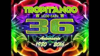 QUIERE MAS QUIERE MAS  TROPITANGO 2016 EXITO [upl. by Anali]