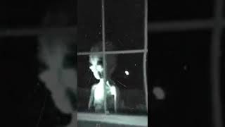 Alien peeking through window xfiles zetareticuli psudoscience [upl. by Orrin]