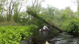 2014 Rochester Memorial Day Canoe Race [upl. by Nibroc]