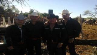 Falsas Promesas  Los Cardenales de Sinaloa 2014 [upl. by Ainud]