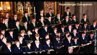 Domspatzen Schubertmesse AsDur Sanctus [upl. by Nazler640]