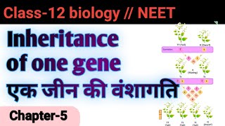 Inheritance of one gene  एक जीन की वंशागति   Chapter 5  Class12  NEET [upl. by Darnok]