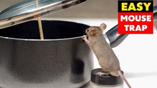 Fry Pan Humane Mouse Trap  Mice Trap  DIY Rat Trap Homemade [upl. by Peggi]