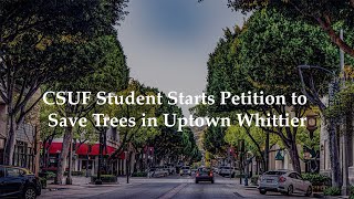 CSUF Student Starts Petition to Save Trees in Uptown Whittier [upl. by Mei]