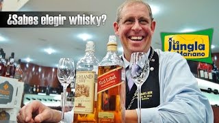 ¿Sabes elegir whisky [upl. by Nauqal173]