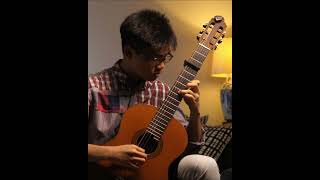 Scarborough Fair guitar fingerstyle guitarcover [upl. by Yemrej777]