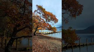 Peaceful Derwentwater in Autumn 🍂 [upl. by Sturges518]