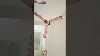 Ceiling fan ceilingfan shorts [upl. by Stephen]