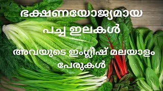 Leafy vegetables Malayalam names and English names [upl. by Darcie764]