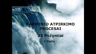 Karminio atpirkimo apsivalymo procesai 33 Požymiai I Dalis [upl. by Enra61]