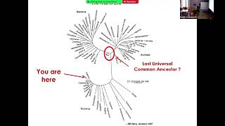 Topological Scaling Laws and the Mathematics of Evolution [upl. by Eillo594]