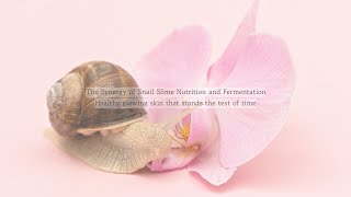 BSNEULHYEYUM quotFermented Snail Moisturizing Tonerquot [upl. by Conrad]