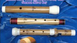 J Scherer Traverso Flute Sound Clip Solo Sonata bwv1013 [upl. by Alleacim]