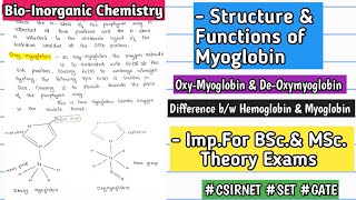 MYOGLOBIN  Structure amp Functions Difference BW Hemoglobin amp Myoglobin bscnotes mscnotes [upl. by Fonville]