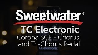 TC Electronic Corona SCF Chorus and Tri Chorus Pedal Review [upl. by Anelegna]