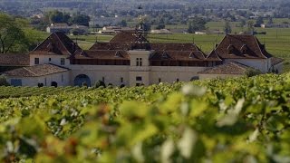 SaintÉmilion  à la découverte d’un vignoble d’exception [upl. by Flossie]