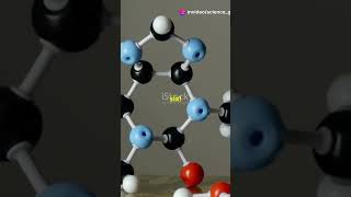 Atoms Unleashed The Science of Protons Neutrons and Electrons⚛️ electrons Science shorts [upl. by Dusza75]