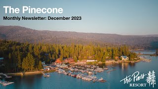 The Pine Cone Newsletter December 2023 [upl. by Lugar]