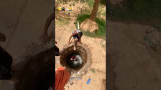 Human daredevils how did they all fit inyoutubeshorts viralvideo [upl. by Perdita]