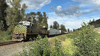 Well Mixed Train CN 305  Sumas Mtn BC Canada 25AUG24 ES44AC 2763 Leading [upl. by Leamaj]