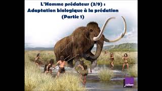 LHomme prédateur 39  Adaptation biologique à la prédation [upl. by Amand650]