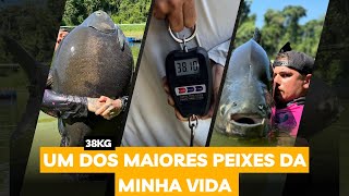 PESCARIA TANCÃO DO MAEDA PEIXE GIGANTE TAMBACU 38KG [upl. by Banyaz639]