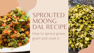 Sprouted moong dal recipe  How to sprout moong dal  Green Gram sprout Recipes [upl. by Fulcher]