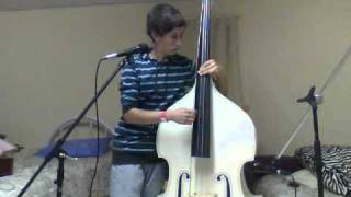 Blink 182  I Miss You Double Bass Cover [upl. by Pinter]