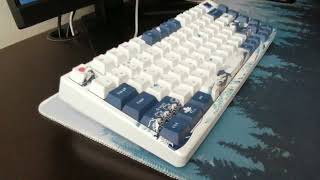 XVS SK80 White Switches Sound Test [upl. by Silvio]