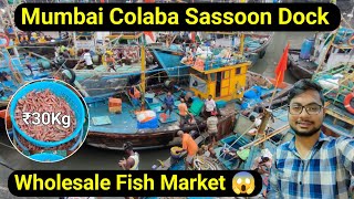 Mumbai Colaba Sassoon Dock Fish Market  Cheapest Fish Market In Mumbai [upl. by Broddie]