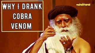 Sadhguru quot Why I Drank Cobra Venomquot [upl. by Stephannie268]