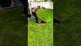 The Most Effective Way to Eliminate Moles in Your Yard [upl. by Keith]