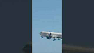 Delta 767 takeoff at Honolulu International Airport [upl. by Stannfield]