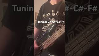 Would by Alice in Chains bass cover [upl. by Sadick]