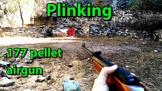 Plinking with Diana Mod 25 177 Air rifle [upl. by Brouwer597]