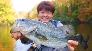 Attempting To Break My Colleges Lake Record [upl. by Hull]