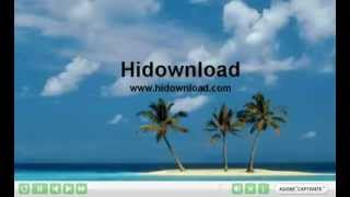 How to Download Videos from antenna with Hidownload [upl. by Hareemas]