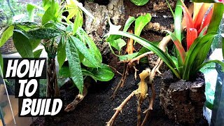 How To Build a Naturalistic Live Vivarium [upl. by Ymmac]