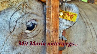 Mit Maria unterwegs In Bad Rappenau [upl. by Danell]