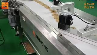 JHZ1230 big size sweets food flow packing machine [upl. by Ingunna]