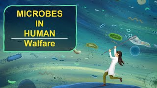 Microbes in Human Welfare  Complete NCERT Chapter Explained Class 12 Biology [upl. by Anitsrhc518]