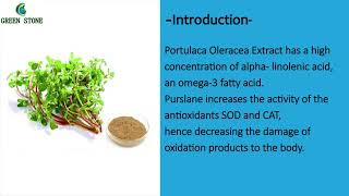 Portulaca Oleracea Extract Purslane Extract skin benefits [upl. by Jemie547]