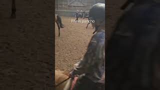 Fly vs Pancho [upl. by Janetta]