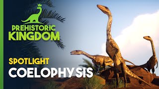 Prehistoric Kingdom  Coelophysis Spotlight [upl. by Aimaj]