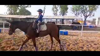 Horse Heaven Equestrian Sports Academy Jaipur [upl. by Otrebireh]