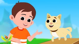 Meow Meow Billi Karti म्याऊं म्याऊं बिल्ली करती Nursery Rhymes for Kids and Children [upl. by Chadabe912]