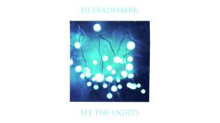 DJ Trademark  See The Lights Hardwell x Vandalism x Michael Woods x Enrique x Britney [upl. by Meeker]